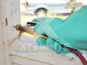Xtermite Orange Oil Treatment