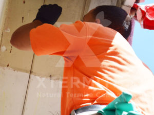 Xtermite Orange Oil Treatment