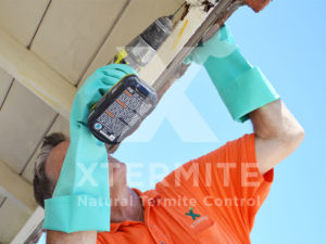 Xtermite Orange Oil Treatment