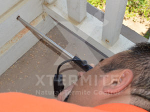 Xtermite Orange Oil Treatment