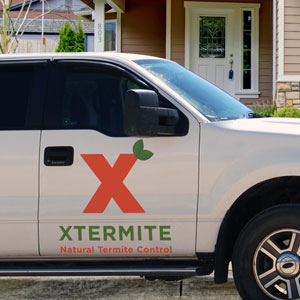 Termite Services